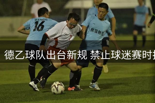 德乙球队出台新规 禁止球迷赛时拍摄视频牟利